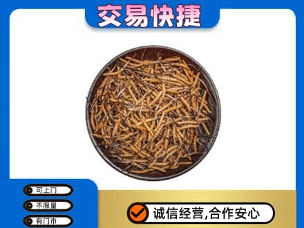 金华礼品回收虫草.jpg